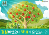 [송구영신] 01.결실하였으니 백배가 되었느니라