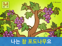 [예수님의 자기소개] 03.나는 참 포도나무요